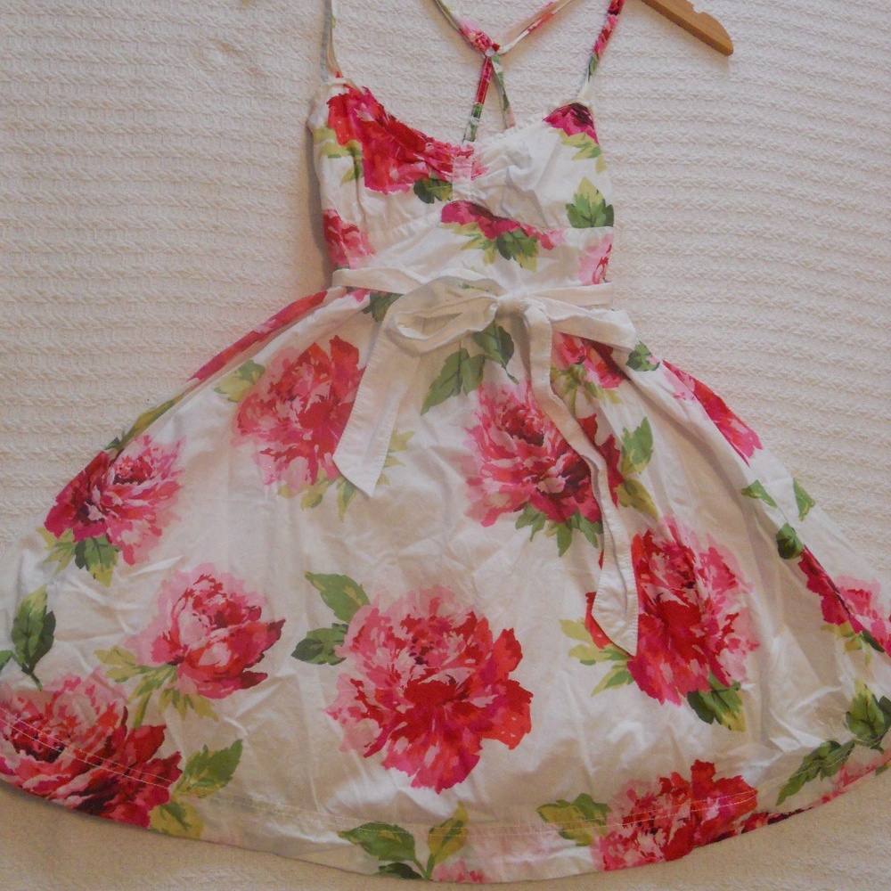 Abercrombie Floral Print Dress